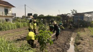 Pemerintah Kalurahan Sinduharjo Gelar Rembuk Tani Bersama KWT Puri Lestari Padukuhan Prujakan